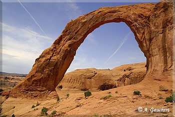 Corona Arch allein